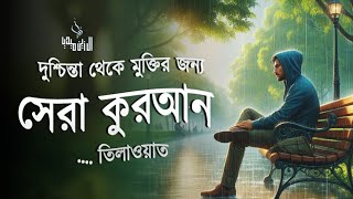 রাতে ঘুম না এলে এ তিলাওয়াত টি শুনুন। Beautifull telawt for Sleep | Al Zain Media