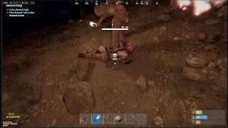 Rust | Wipe Day 2