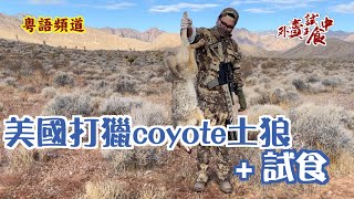 粵語試食｜EP.08 Coyote Hunting 美國打獵土狼過程+試食