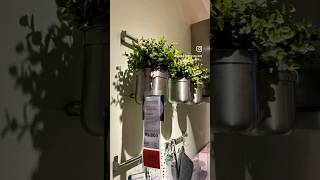 #ikea plant finds Part 1 | #ikeaindia