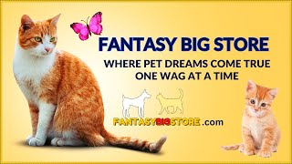 🦋 Fantasy Big Store | Pets Products | Where Pet Dreams Come True, One Wag at a Time! #petsproducts