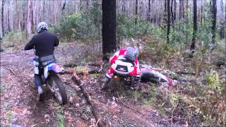 Dirtriderz Annual Weekender, Howqua to Jews Creek