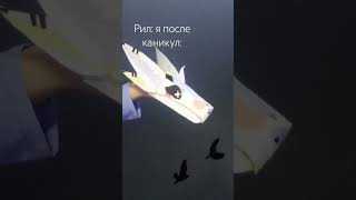 жизаа🆘🆘 #драконыизтт #dragon