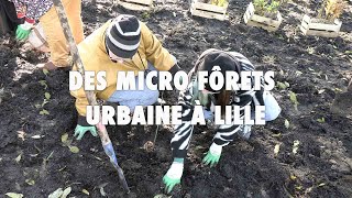 Lille plante ses micro-forêts urbaines