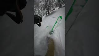 This Run Rarely Opens!! 45" Storm!!⛷️#skiing #powdersnow #snow #gopro #ski #shorts #viral #freeride