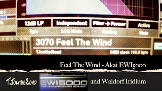 Feel The Wind - Akai EWI5000 and Waldorf Iridium