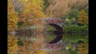 New York Landscape Photography: Central Park in Fall