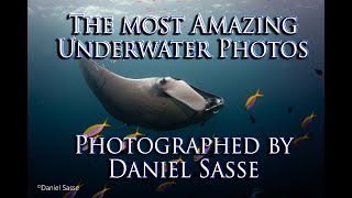 The Most Amazing Underwater Photos by Daniel Sasse