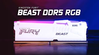 Новая. Мощная. Белая. Kingston FURY Beast DDR5 RGB