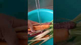 Washing baby carrots to roast..#trending #viralvideo #trendingshorts #subscribers