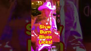 Howlin' Waters - Slow Burn Blues Lickage (#srv #stevierayvaughan #texasblues #bluesrock #guitar)