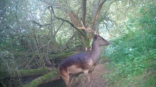 Down by the River - Late Summer & Early Autumn