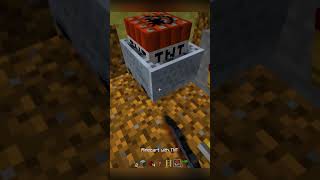 Minecraft Wooden Trap #minecraft #minecraftmeme #memes