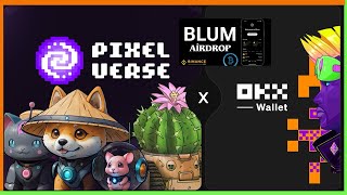 🍀 PIXELVERSE EN OKX WALLET!! - REGALAN 50 MIL USD! - HAZ ESTO RAPIDOOOO