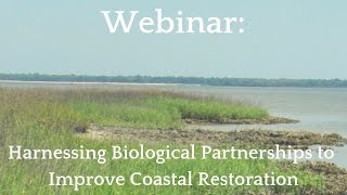 Webinar: Harnessing Biological Partnerships to Improve Coastal Restoration