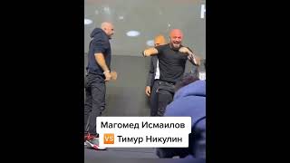 Успокоил молодого Исмаилов и Никулин