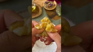 Roasted garlic #shorts #short #shortvideos #vegan #cooking #zenlifekitchen