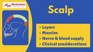 Scalp | Layers | Muscles | Anatomy| Mediklaas