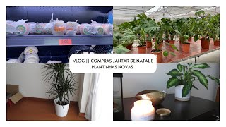 Vlog || Compras para o jantar de natal e plantinhas novas || Filipa da Costa