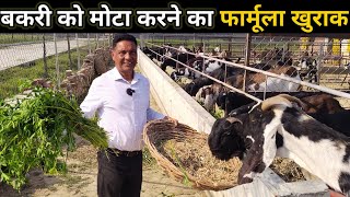 बकरी को मोटा करने का देशी खुराक | Bakari Ka Dana Kaise Tyar Karen | Goat Weight Gain Feed #Goatfarm