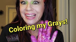 Coloring Gray Hair!