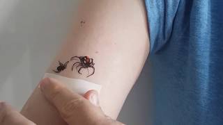 Halloween Fake Spiders Realistic Temporary Tattoo Fancy Dress Party Ideas Review