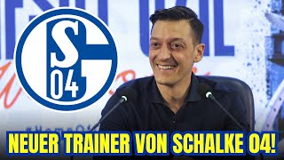 ÖZIL-HAMMER: Vom Spielmacher zum SCHALKE-TRAINER? | HSV NACHRICHTEN