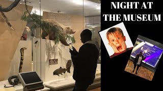 NIGHT AT THE MUSEUM l THE STORY OF US l WATCH IN HD