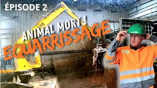 ANIMAL MORT, EQUARRISSAGE ! épisode 2