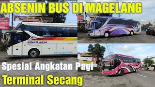 TERNYATA ADA LHO !! BUS ANGKATAN PAGI DITERMINAL INI || Terminal Secang Magelang