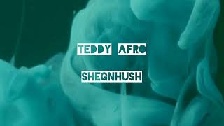 Teddy Afro _Shegnhush