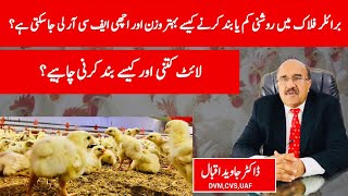 How To Get Good Weight And FCR With Lights Timing In Broiler Farming | Dr Javed Iqbal