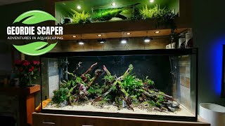 6 FOOT NATURE AQUARIUM STYLE AQUASCAPE (850 LITRES/224 US GALLONS) CINEMATIC BUILD 2021