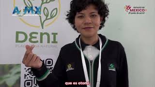 Alumna del CONALEP-Temoaya crea un insecticida ecológico