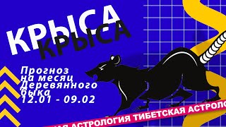 Прогноз на месяц деревянного быка для Крысы