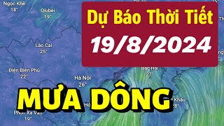 Dự báo thời tiết mới nhất hôm nay và ngày mai 19/8/2024