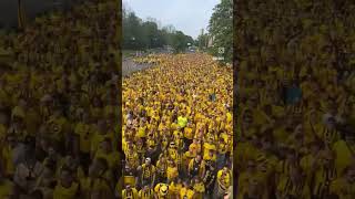 BVB09 vs PSG #football #Champions League #Fans