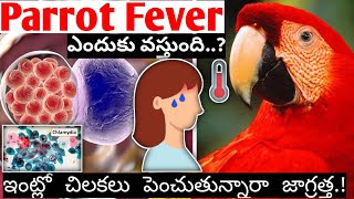 Parrot fever | ప్యారెట్ ఫీవర్ ఎందుకు వస్తుంది.? | #parrotfever #parrots #new1facts