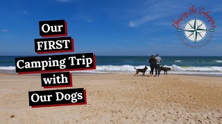 CAR CAMPING VLOG WITH OUR DOGS | Pocomoke River State Park & Assateague Island National Seashore