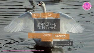 Ephesians 2:8 For it is by grace you have been saved. Memory Verse for Season 1: Episode 42