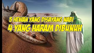 5 Hewan disayang Nabi dan 4 dilarang dibunuh