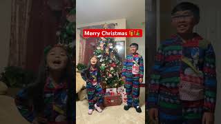 Merry Christmas everyone! From Badoods’ Channel #christmas2023  #siblings