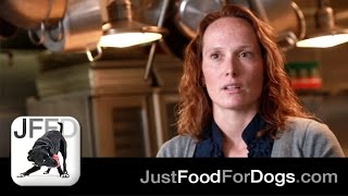 The Specialists: Food Allergic vs Food Intolerant Dogs | JustFoodForDogs