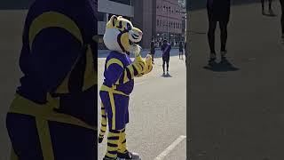 BENEDICT COLLEGE HOME COMING PARADE 2024 TIGER MASCOT #columbiasouthcarolinalifestyle