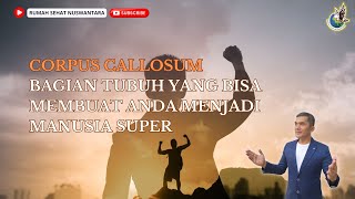 ✨MOTIVASI - CARA AKTIVASI CORPUS CALLOSUM✨