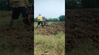 bikin lahan buat tanam jagung.