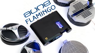 Aune Flamingo DAC & Headamp Review - The Musical Box