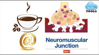 Coffee@ Neuromuscular Junction | AnesthesiaTOOLS #saneeshpj