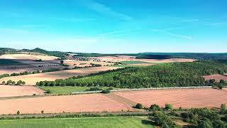 Flight over cornfield - DJI Mavic 2 Pro