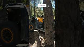 Petit entraînement ✨⛰️ #quad #offroad #driving #nature #voyage #entrainement